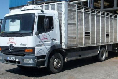 Transporte Animales Vivos 02